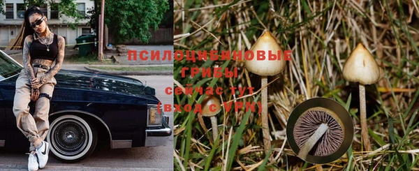 меф Белокуриха