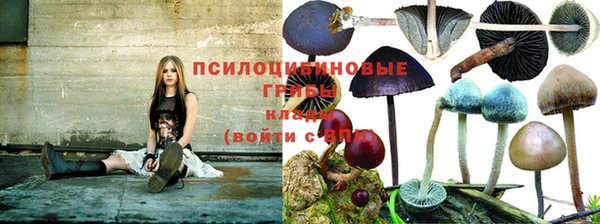 меф Белокуриха