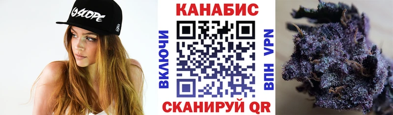 Бошки марихуана THC 21%  цены   Красный Холм 